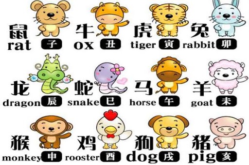 Bocconi Chinese Student Association